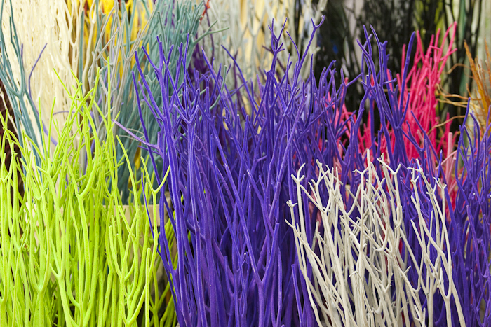 MIN RUNGIS-Fleurs-70.jpg
